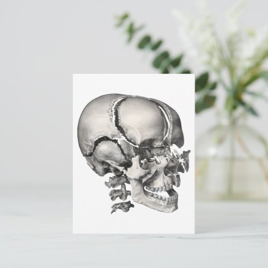 Wetenschap Menselijke Anatomie, Antiek schedel Briefkaart (Staand voorkant)