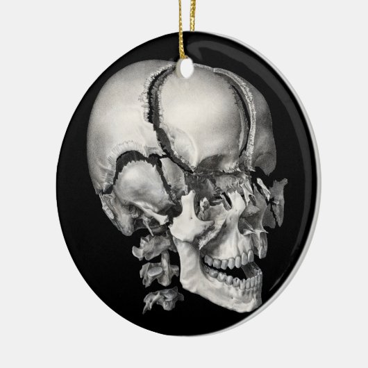 Wetenschap Menselijke Anatomie, Antiek schedel Keramisch Ornament (Links)