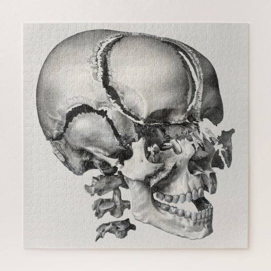 Wetenschap Menselijke Anatomie, Antiek schedel Legpuzzel (Verticaal)