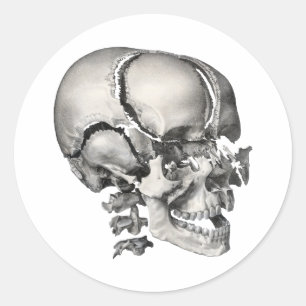  Wetenschap Menselijke Anatomie, Antiek schedel Ronde Sticker