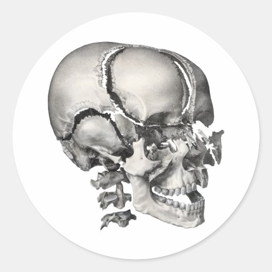 Wetenschap Menselijke Anatomie, Antiek schedel Ronde Sticker (Voorkant)