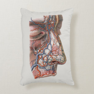  wetenschap menselijke anatomie, gezicht met neus accent kussen