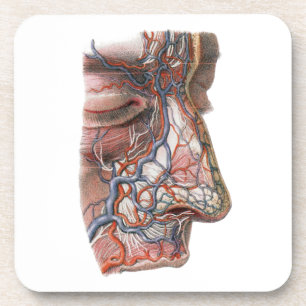 wetenschap menselijke anatomie, gezicht met neus bier onderzetter