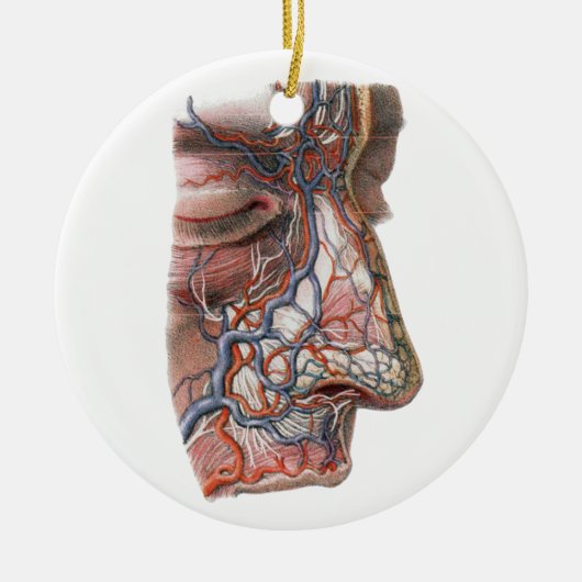 wetenschap menselijke anatomie, gezicht met neus keramisch ornament (Voorkant)