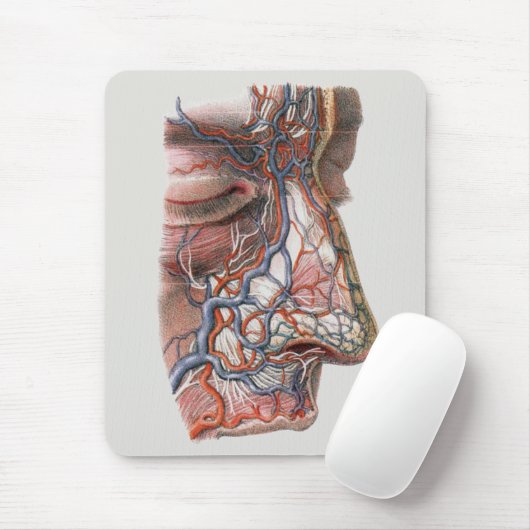 wetenschap menselijke anatomie, gezicht met neus muismat (Met muis)