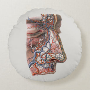 wetenschap menselijke anatomie, gezicht met neus rond kussen