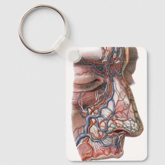 wetenschap menselijke anatomie, gezicht met neus sleutelhanger (Voorkant)