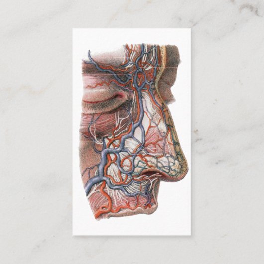 wetenschap menselijke anatomie, gezicht met neus visitekaartje (Achterkant)