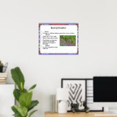 Wetenschap, Milieuchemie, Eutrofiëring Poster (Thuiskantoor)