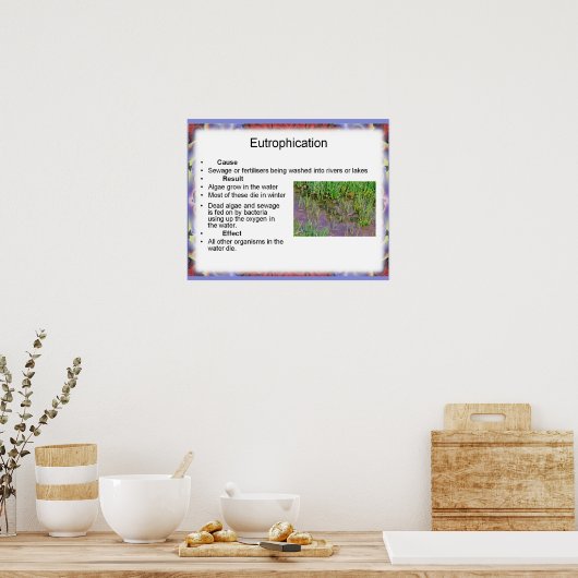 Wetenschap, Milieuchemie, Eutrofiëring Poster (Keuken)