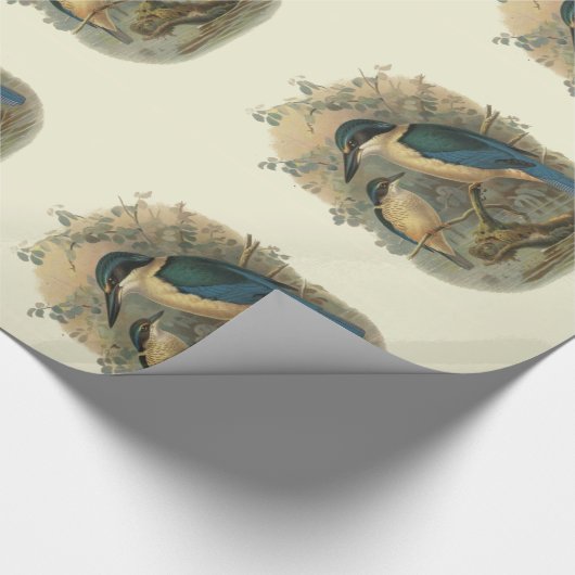wetenschap NZ Birds - Kingfish Cadeaupapier (Hoek)