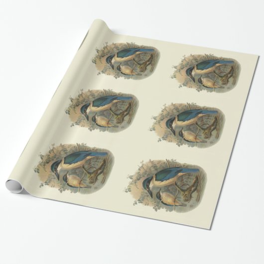 wetenschap NZ Birds - Kingfish Cadeaupapier (Uitgerold)