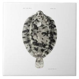  wetenschap NZ Fish - Lemon Sole Tegeltje