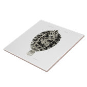 wetenschap NZ Fish - Lemon Sole Tegeltje (Zijkant)