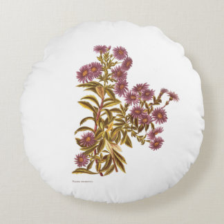 Wetenschap NZ Flowers - Olearia semidentata Rond Kussen