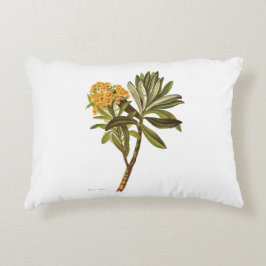  Wetenschap NZ Flowers - Senecio huntii Accent Kussen