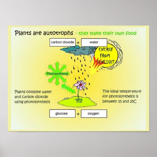 Wetenschap, Planten, handtekeningen, levensmiddele Poster (Voorkant)