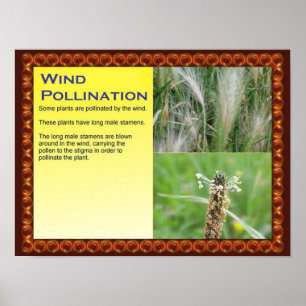 Wetenschap, Planten, Reproductie, Windbestuiving Poster