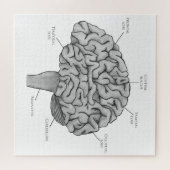 Wetenschappelijk brein legpuzzel (Horizontaal)