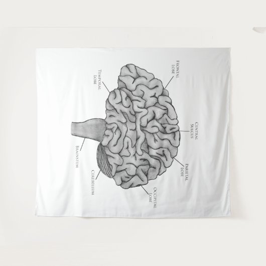 Wetenschappelijk brein wandkleed (Voorkant (horizontaal))