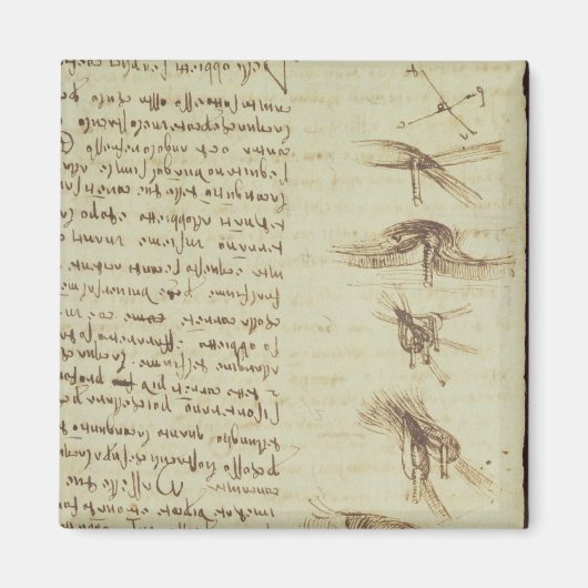 Wetenschappelijke diagrammen magneet (Voorkant)