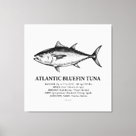 Wetenschappelijke illustratie van de Atlantische b Canvas Afdruk