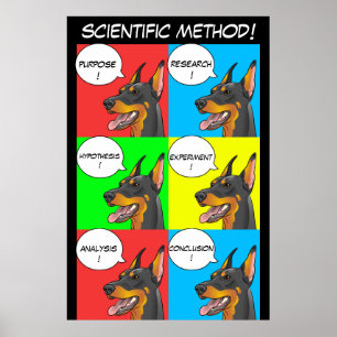 Wetenschappelijke methode Dog-Poster voor leraren Poster
