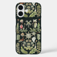 Wetenschappelijke Natuur Kunst Ernst Haeckel Lever