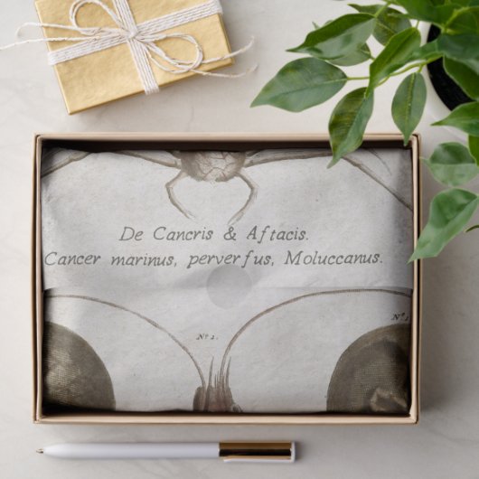 wetenschappelijke ontkoppeling van schaaldieren tissuepapier (Geschenk)