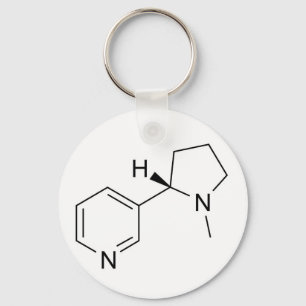 wetenschappelijke symbooleelementen met nicotine-c sleutelhanger
