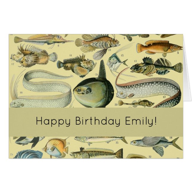  wetenschappelijke Vissende kunst (Voorkant Horizontaal)