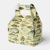 wetenschappelijke Vissende kunst Bedankdoosjes (Achterkant)