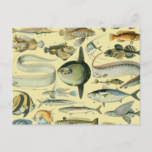 wetenschappelijke Vissende kunst Briefkaart (Voorkant)