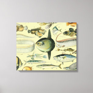 wetenschappelijke Vissende kunst Canvas Afdruk