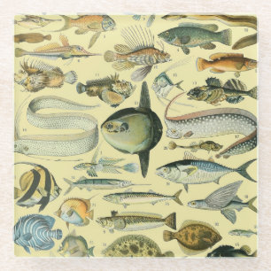  wetenschappelijke Vissende kunst Glazen Onderzetter