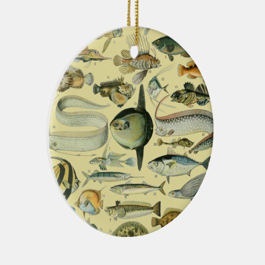  wetenschappelijke Vissende kunst Keramisch Ornament (Rechts)