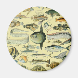 wetenschappelijke Vissende kunst Magneet