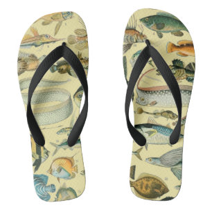  wetenschappelijke Vissende kunst Teenslippers