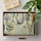  wetenschappelijke Vissende kunst Tissuepapier (Geschenk)