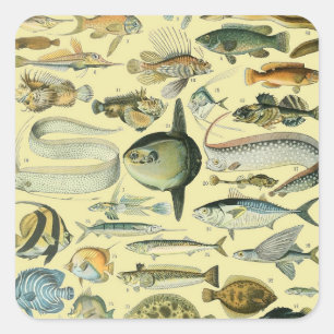  wetenschappelijke Vissende kunst Vierkante Sticker