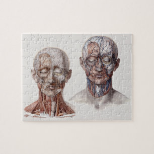 wetenschappers op het gebied van de menselijke an legpuzzel