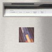  wetenschapscampagnes magneet (Insitu (Vaatwasser))