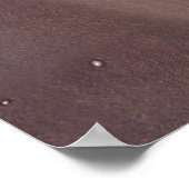  wetenschapscampagnes poster (Hoek)