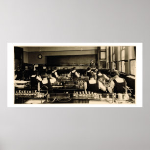 Wetenschapsles op de London Grammar School voor Gi Poster