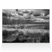 Wetland Cloudscape (Binnen Horizontaal (Boven))