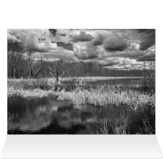 Wetland Cloudscape (Binnen Horizontaal (Boven))