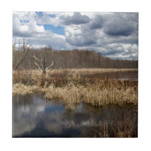 Wetland Cloudscape Tegeltje