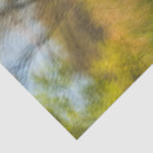 Wetlands Boardwalk Scene Vroege Herfst Tissuepapier (Detail)