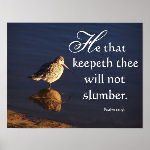 Wetlands Godmet Bird zal je laten afdrukken Poster