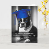 Wetsgraad Gefeliciteerd Boston Terrier Dog Kaart (Gele Bloem)